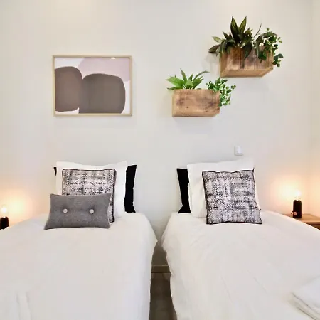 Akicity Santos Lime *