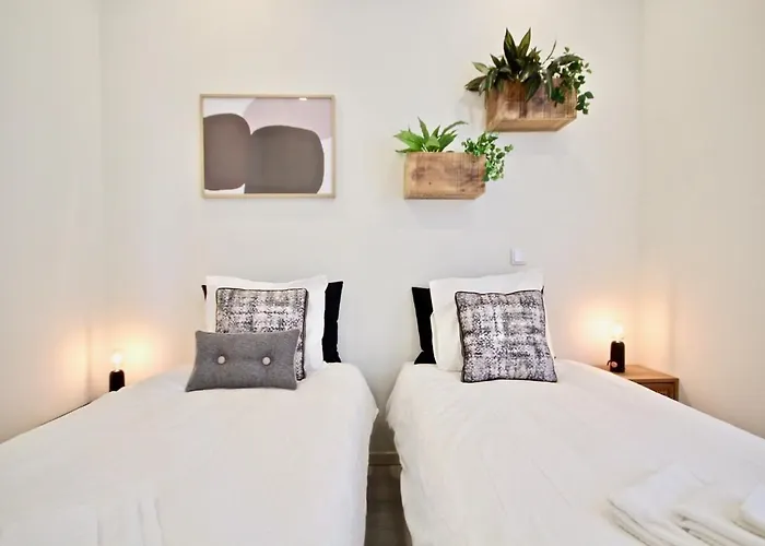 Akicity Santos Lime *